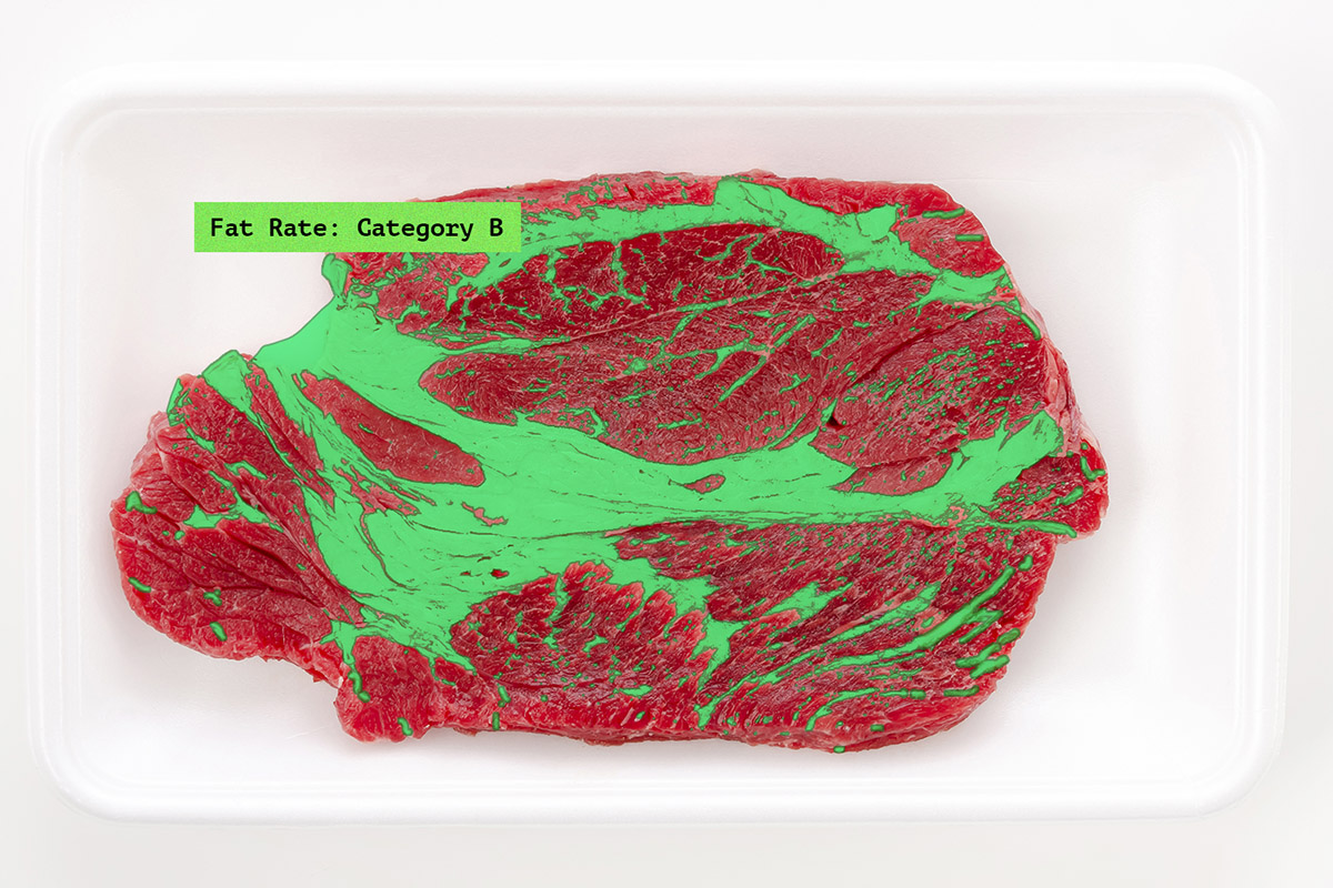 Meat Fat Grading